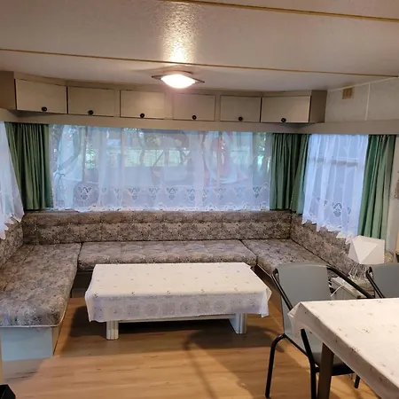 Sosenka * 格里兹鲍